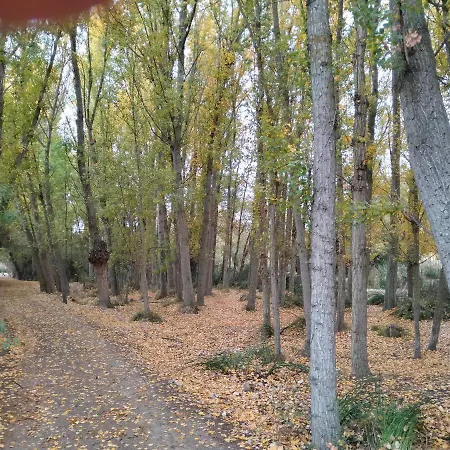 Rural, Cueva De La Abuela *